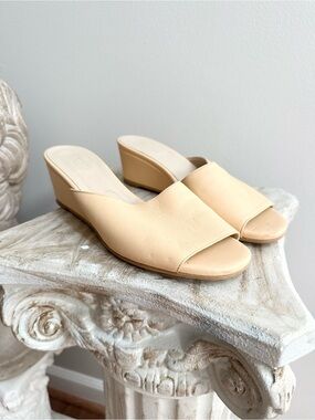 Everlane The Wedge Leather Slide Sandals in Apricot Women’s 6.5